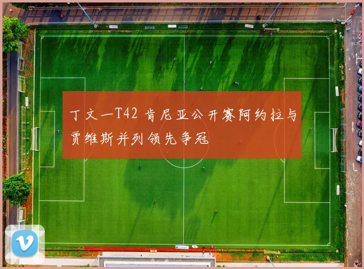 丁文一T42 肯尼亚公开赛阿约拉与贾维斯并列领先争冠